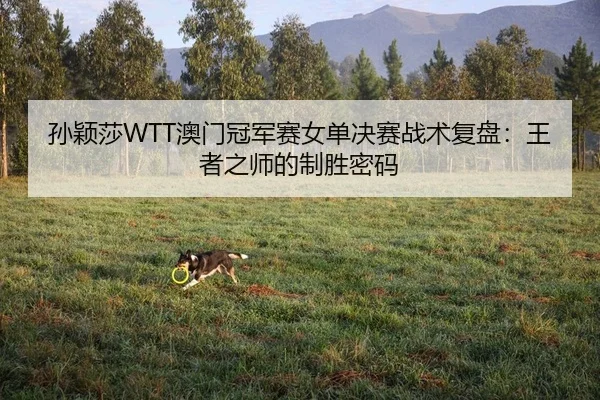 孙颖莎WTT澳门冠军赛女单决赛战术复盘：王者之师的制胜密码